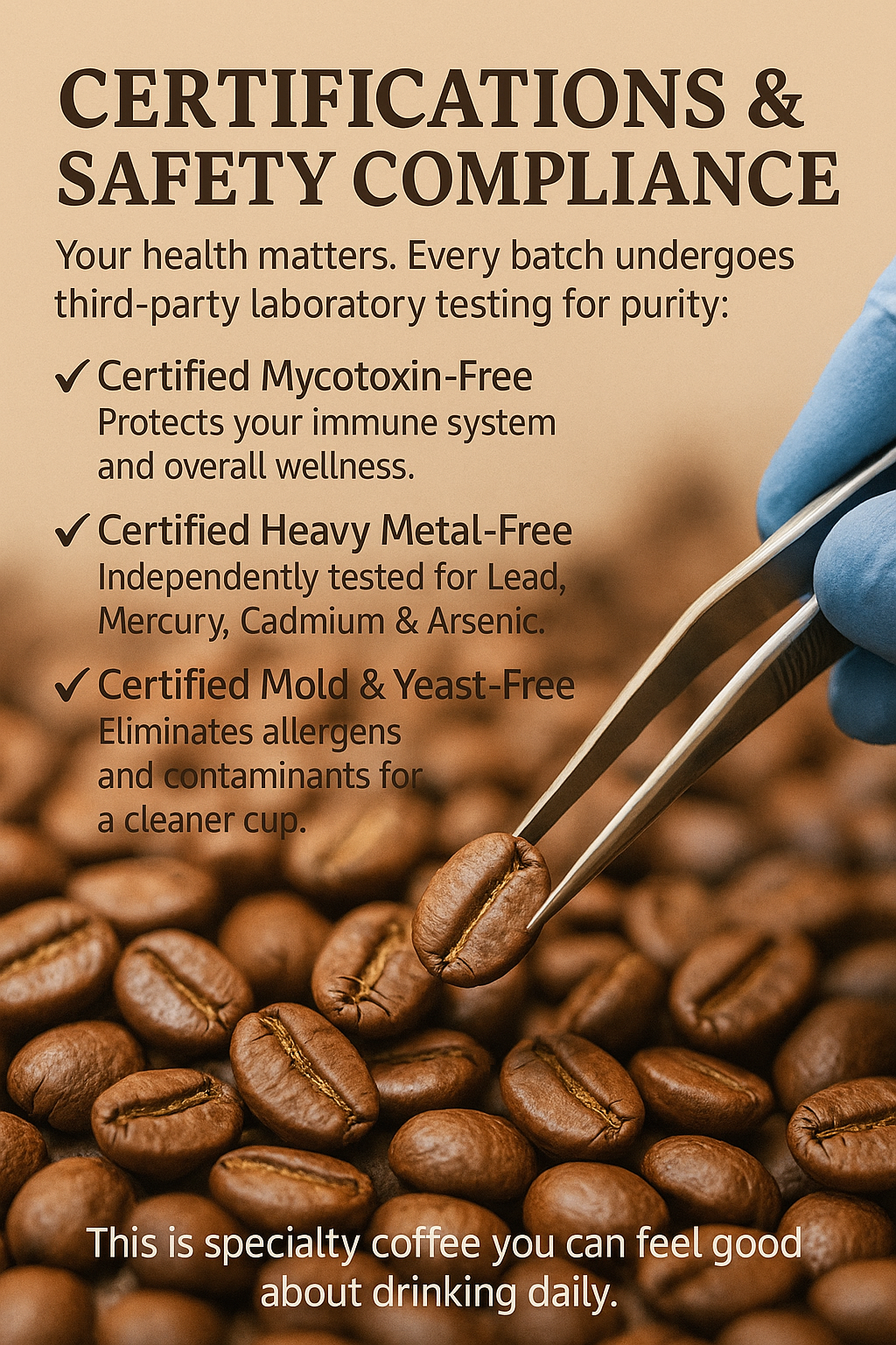 Paradise Elixirs High Lakes Light Roast – Bright Citrus & Fruit Blend Coffee 12OZ Bag